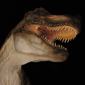 t-rex sauronotti