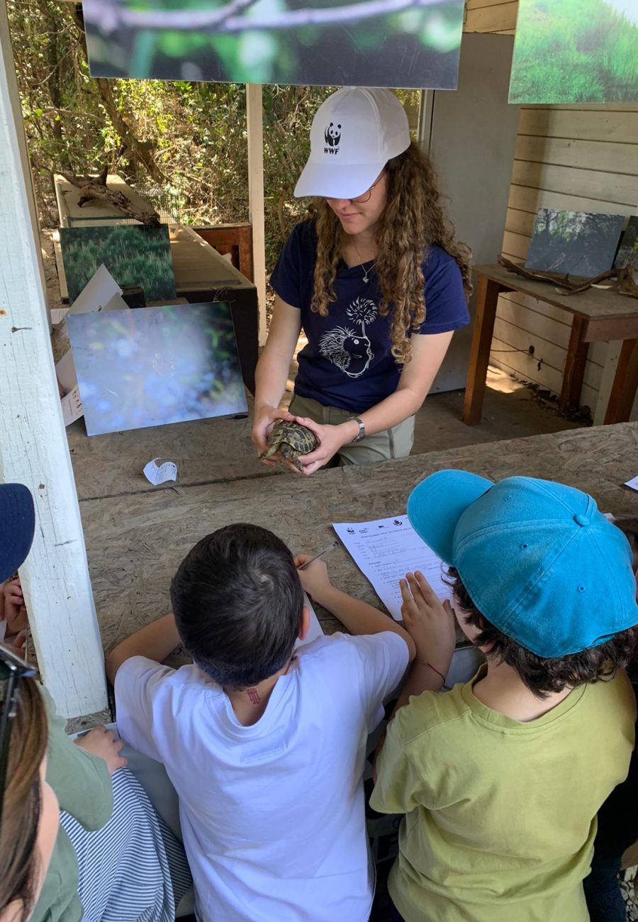 volontaria wwf mostra una testuggine ai bambini che partecipano ala laboratorio naturalistico